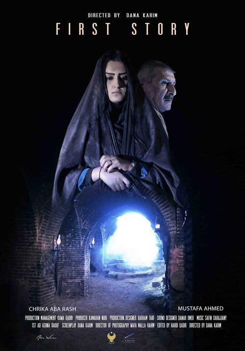 Movie poster for First Story (2014)