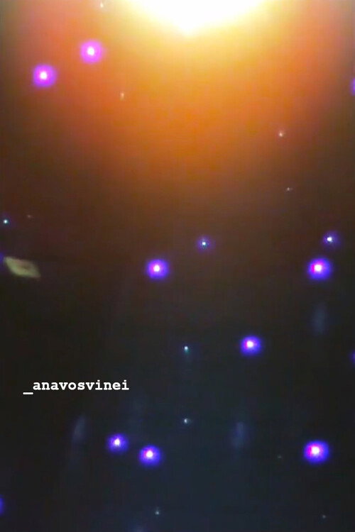 Movie poster for _anavosvinei (2023)