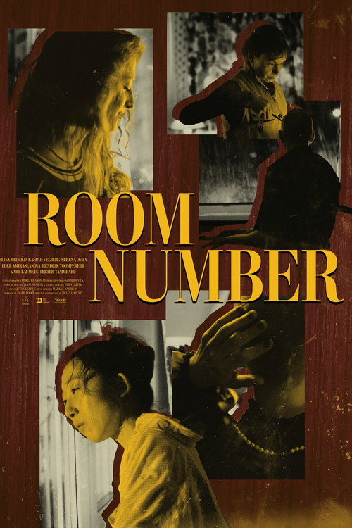 Movie poster for Room Number (2025)