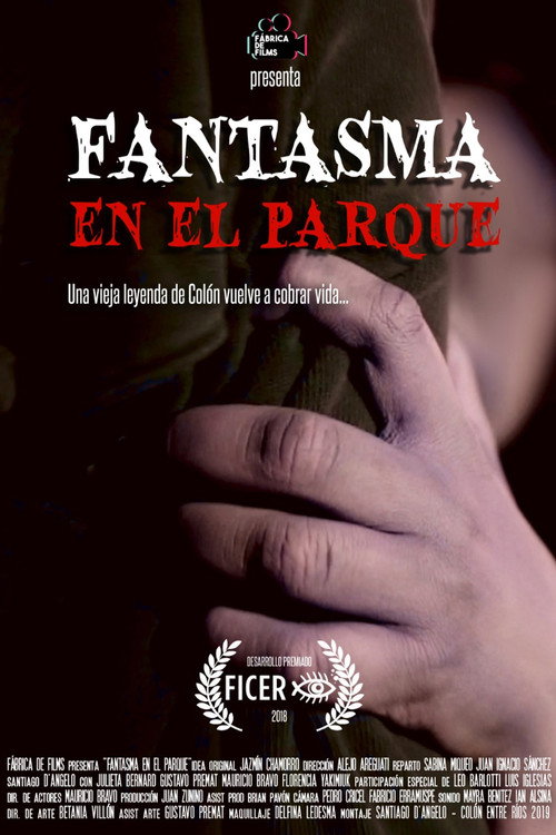 Movie poster for The Ghost In The Park (2018)