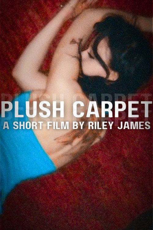 Movie poster for Plush Carpet (2025)