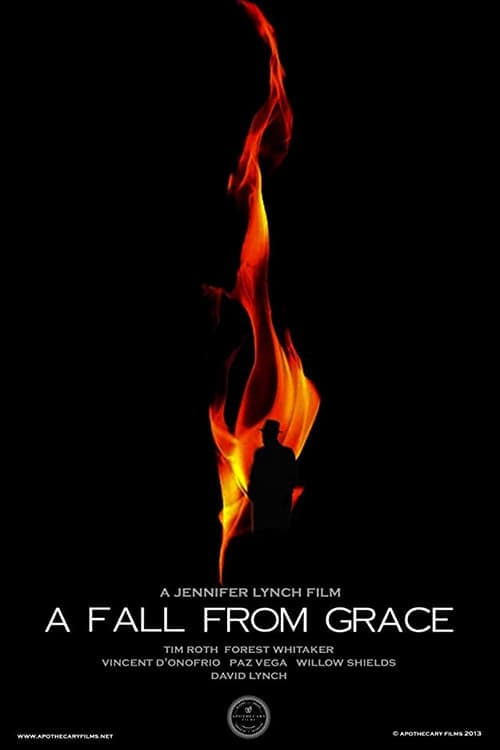 Movie poster for A Fall from Grace