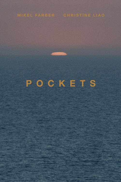 Movie poster for Pockets
