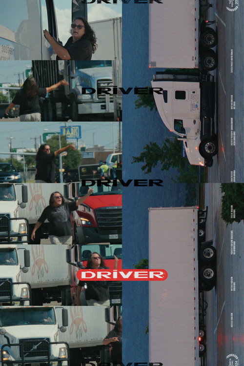 Movie poster for DRIVER (2024)