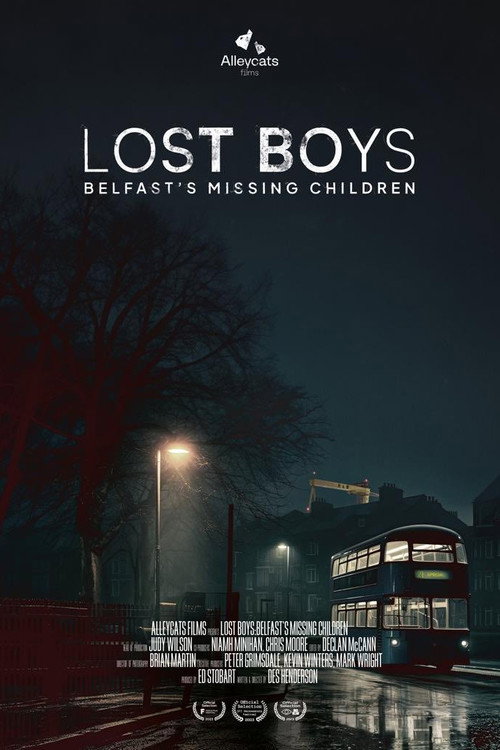 Movie poster for Lost Boys: Belfast's Missing Children (2023)