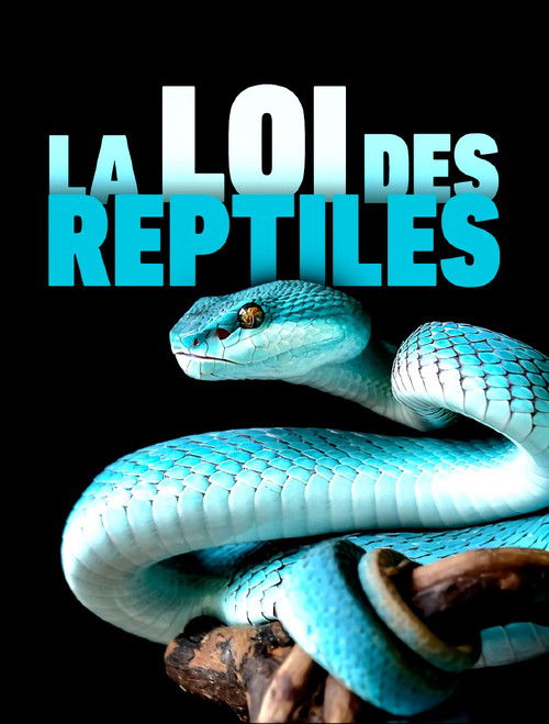 Movie poster for The Law of Reptiles (2017)