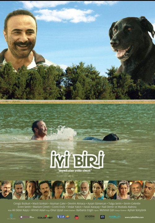 Movie poster for A Good Fellow (2014)