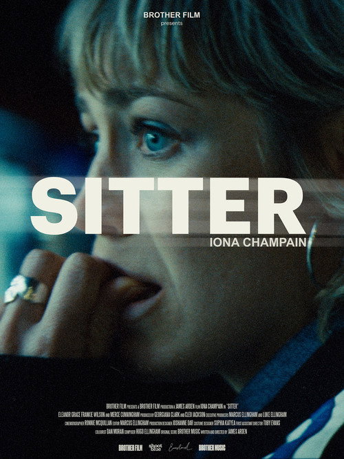 Movie poster for Sitter (2024)