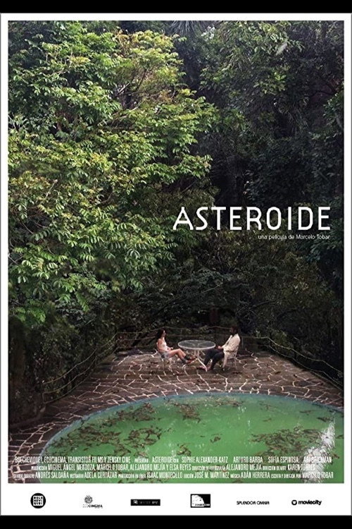 Movie poster for Asteroid (2014)