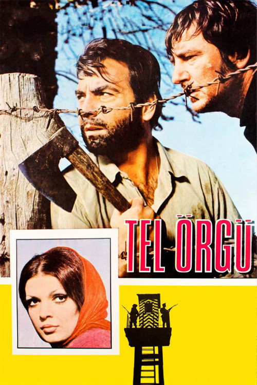 Movie poster for Tel Örgü (1969)