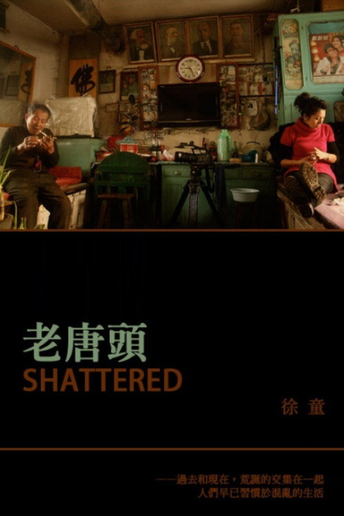 Movie poster for Shattered (2011)