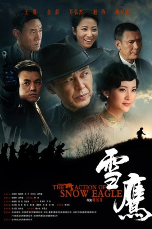 雪鹰 poster