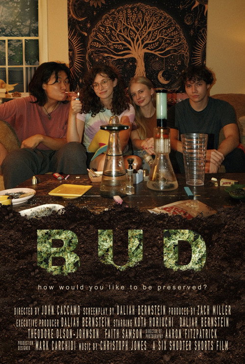 Movie poster for BUD (2025)