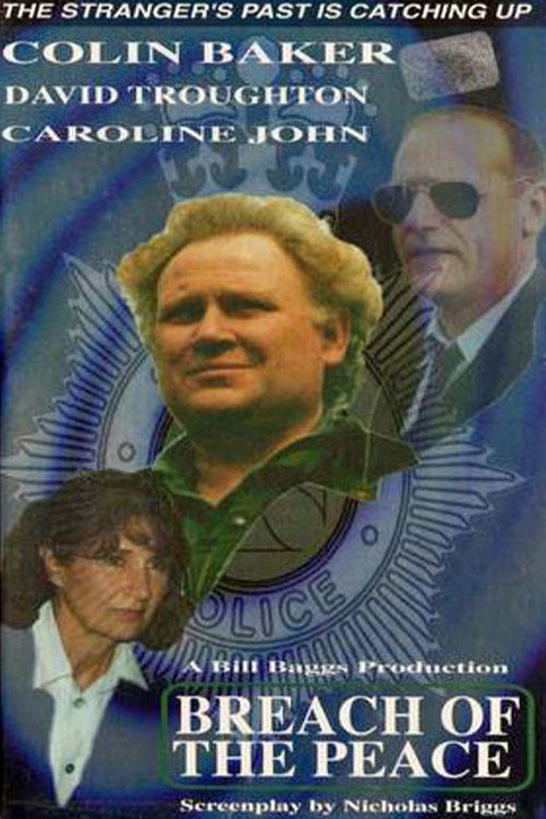 Movie poster for The Stranger: Breach of the Peace (1994)