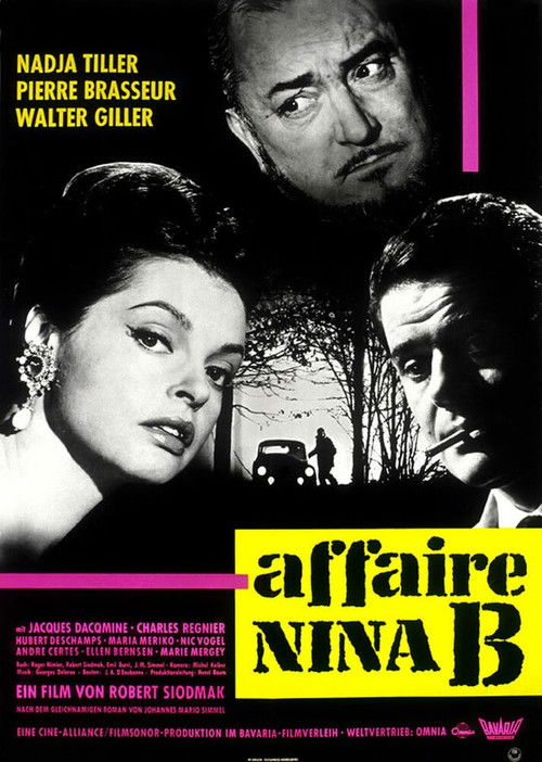 Movie poster for The Nina B. Affair (1961)