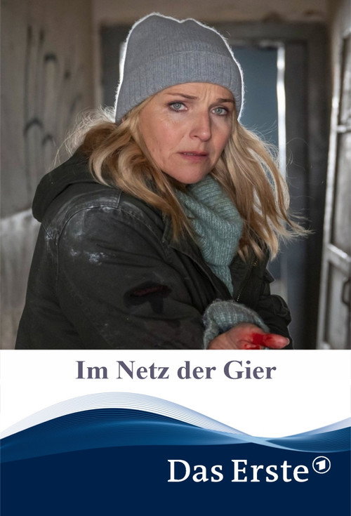 Movie poster for Im Netz der Gier (2024)