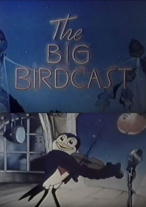 Movie poster for The Big Birdcast (1938)