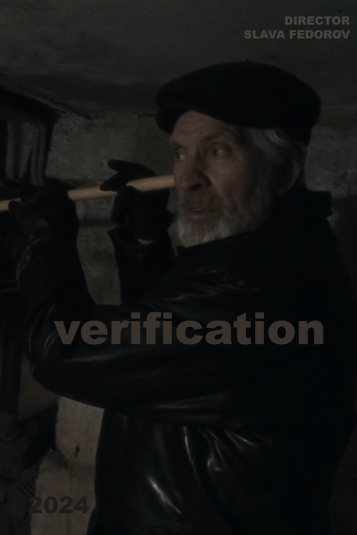 Movie poster for Verification (2024)
