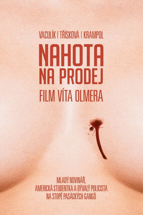 Movie poster for Nudity For Sale (1993)