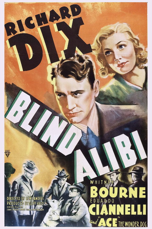 Movie poster for Blind Alibi (1938)