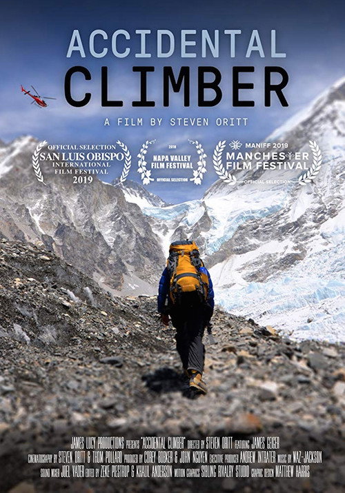 Movie poster for Accidental Climber (2019)