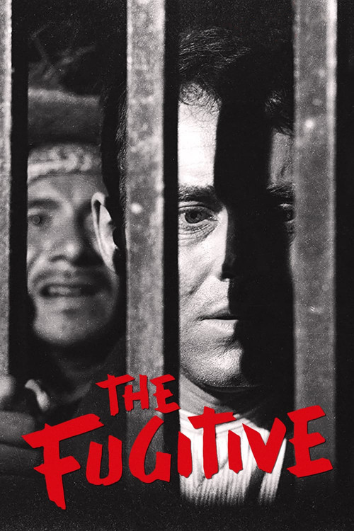 Movie poster for The Fugitive (1947)
