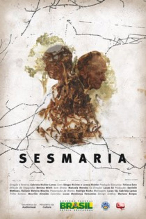 Movie poster for Sesmaria (2015)