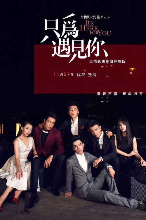 Movie poster for 我和X先生：只为遇见你 (2015)