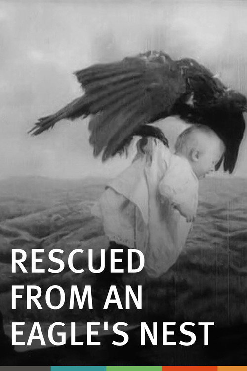 Movie poster for Rescued from an Eagle's Nest (1908)