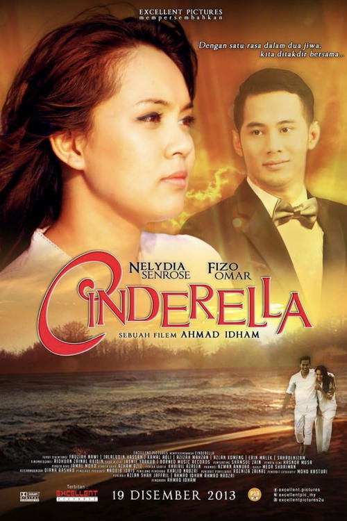 Movie poster for Cinderella (2013)