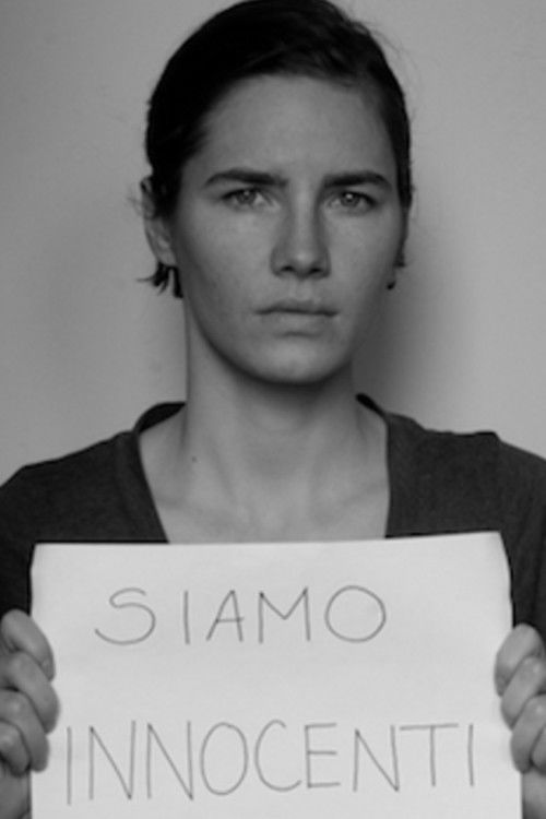 Movie poster for The Amanda Knox Saga (2014)