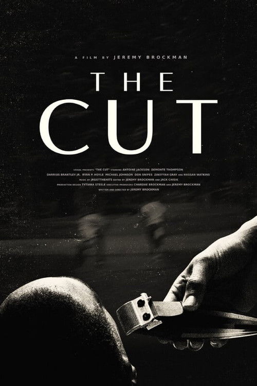 Movie poster for The Cut
