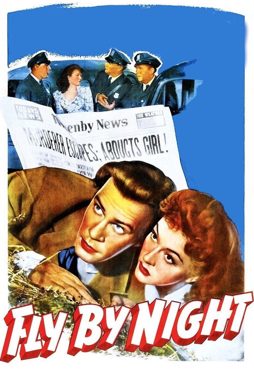 Movie poster for Fly By Night (1942)