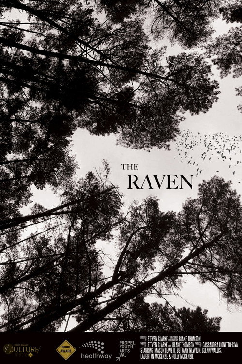 Movie poster for The Raven (2020)