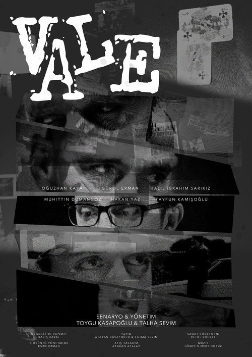 Movie poster for Vale