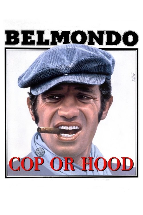 Movie poster for Cop or Hood (1979)