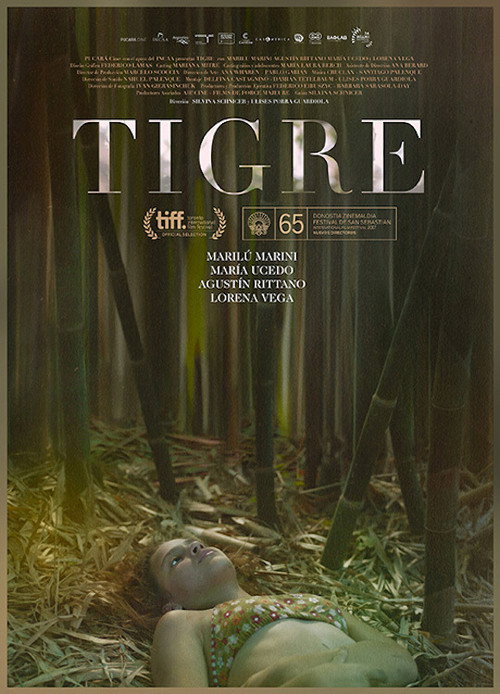 Movie poster for Tigre (2017)