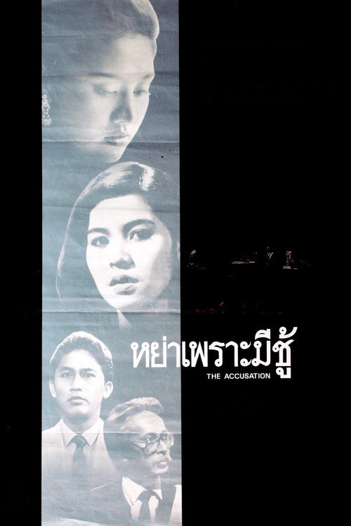 Movie poster for The Accusation (1985)