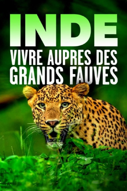 Movie poster for Inde - Vivre auprès des grands fauves (2021)