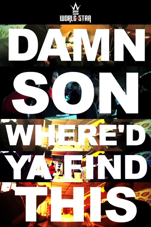 Movie poster for Damn Son Where'd You Find This? (2013)