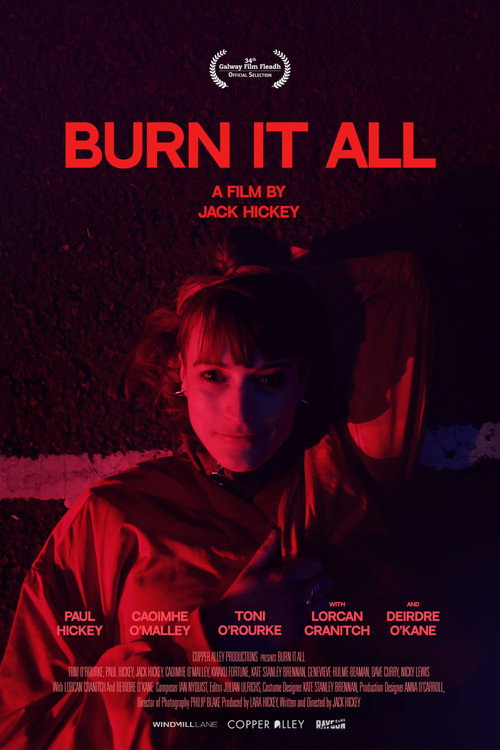 Movie poster for Burn It All (2022)