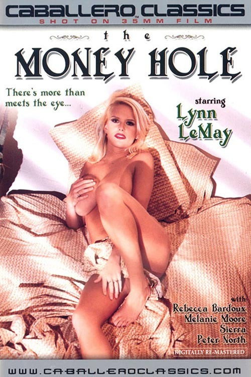 Movie poster for The Money Hole (1993)