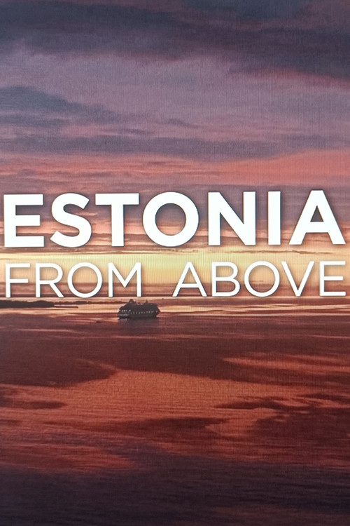 Movie poster for Estonia from above (2023)