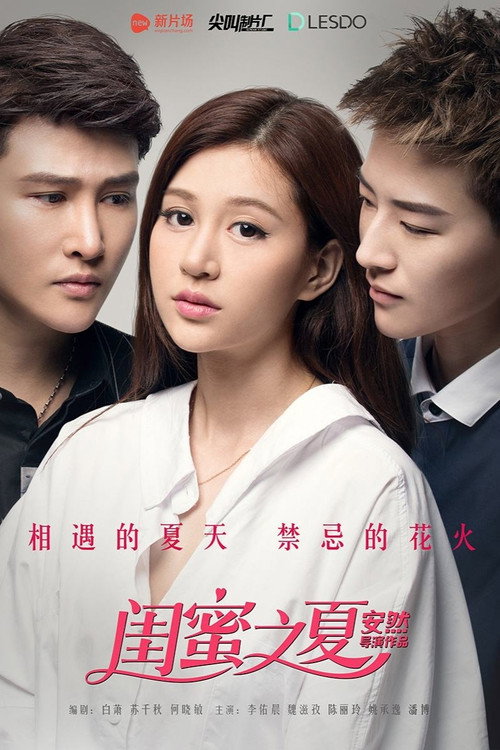 Movie poster for Summer Girlfriend (2016)
