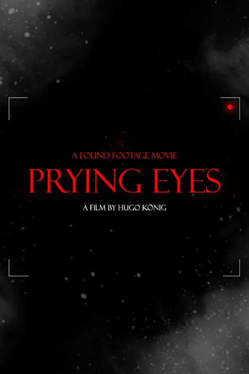 Movie poster for Prying Eyes (2011)