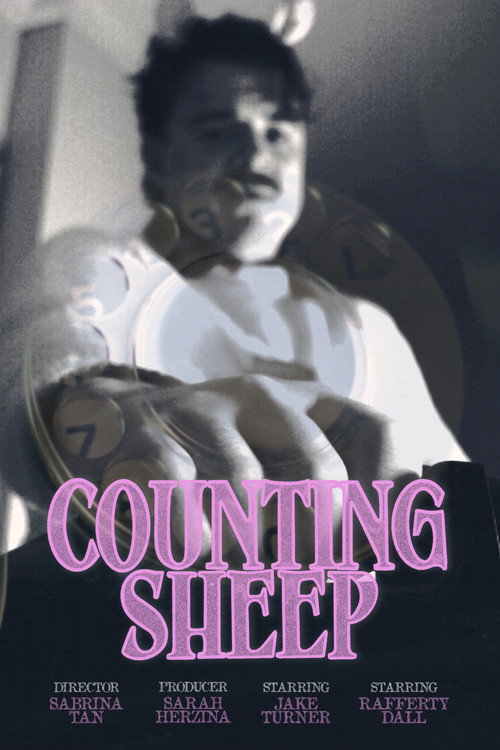 Movie poster for Counting Sheep (2025)