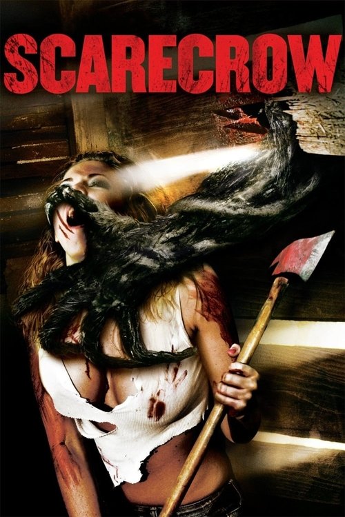 Movie poster for Scarecrow (2013)