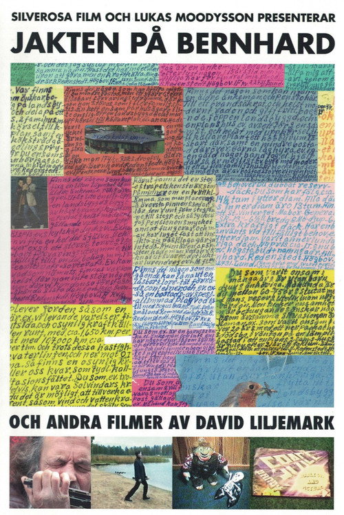 Movie poster for The Search for Bernhard (2010)