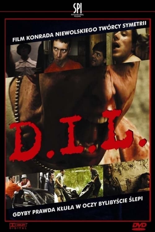 Movie poster for D.I.L. (2002)