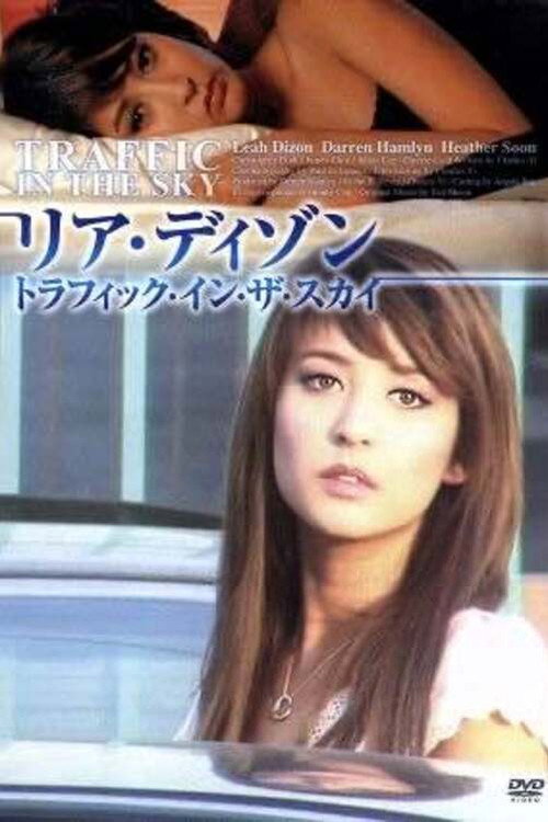 Movie poster for Traffic in the Sky (2007)
